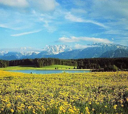 Gaestehaus-kerpf-ferienwohnung * Nesselwang